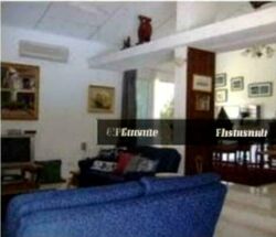 binjai-walk photo thumbnail #5